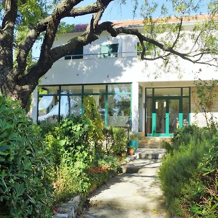 Bed & Breakfast Kleine Hexe 3* Пировац